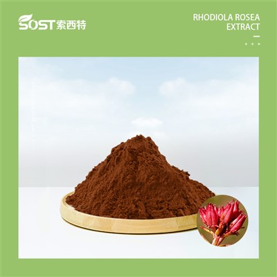 Тач Ник Найк 20240808